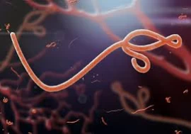 WHO’s Ebola alert puts focus on preparedness, experts say India need not panic